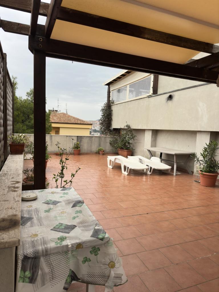 appartamento in affitto ad Ancona