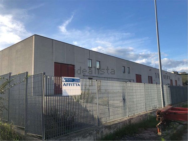 capannone in affitto ad Ancona in zona Piano San Lazzaro