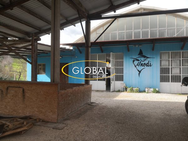 locale commerciale in affitto ad Ancona in zona Palombare