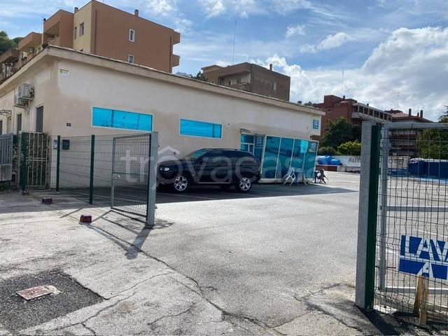 trivano in affitto ad Ancona in zona Posatora