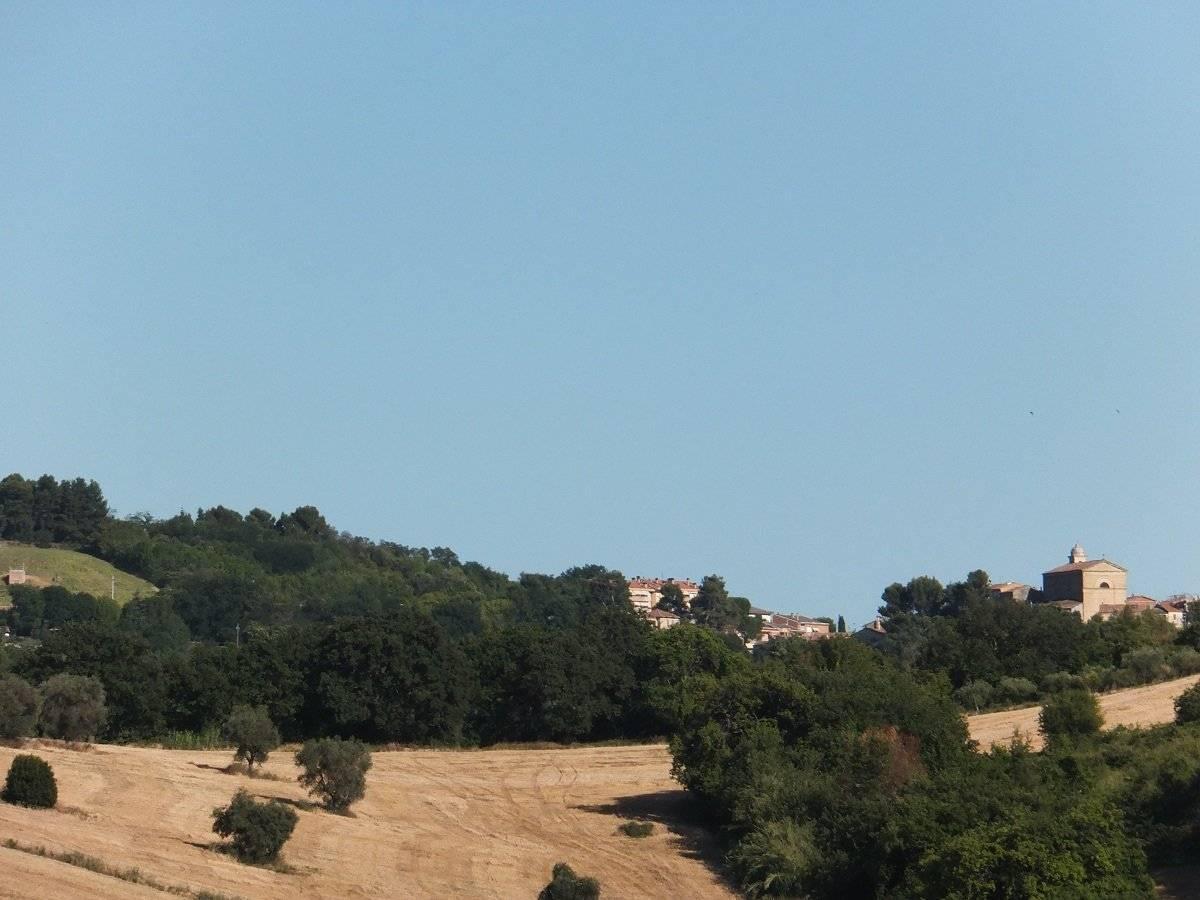appartamento in affitto ad Ancona in zona Tavernelle