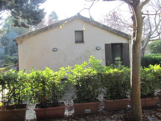 appartamento in affitto ad Ancona in zona Torrette