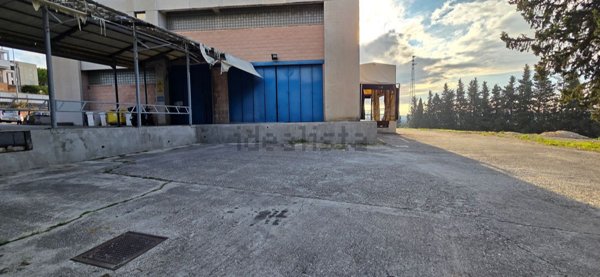 capannone in affitto ad Ancona in zona Piano San Lazzaro