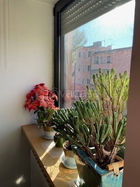 appartamento in affitto ad Ancona in zona Adriatico