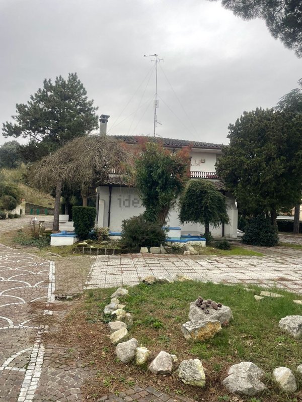 appartamento in affitto ad Ancona in zona Borgo Rodi