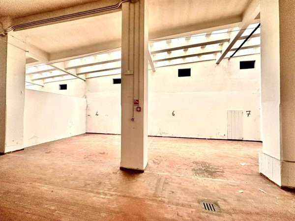 pentavano in affitto ad Ancona in zona Piano San Lazzaro