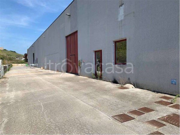 appartamento in affitto ad Ancona in zona Candia