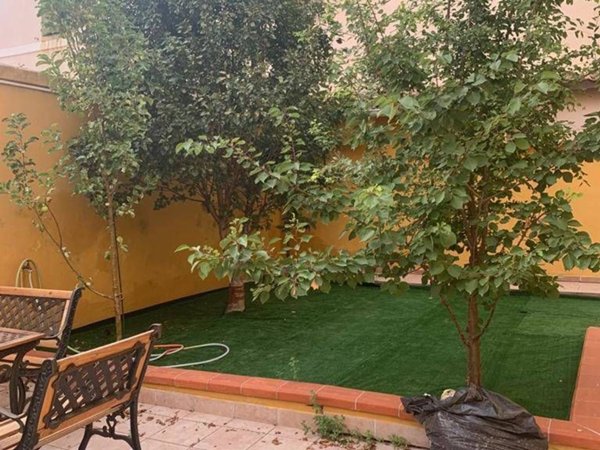 appartamento in affitto ad Ancona in zona Torrette