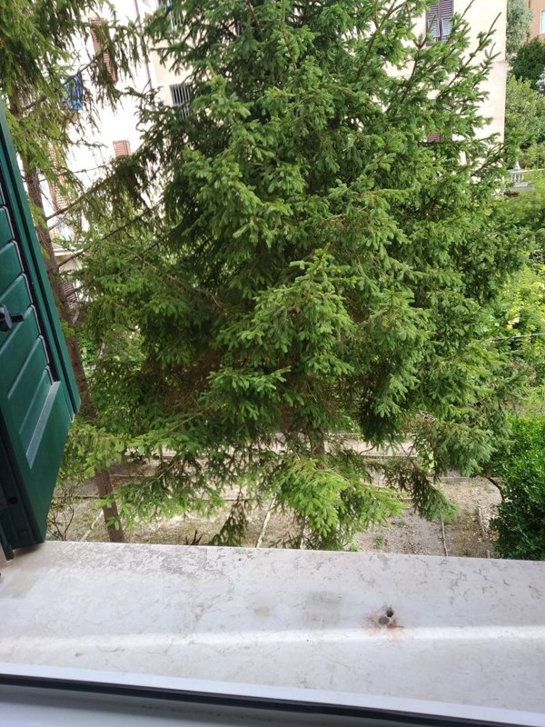 appartamento in affitto ad Ancona in zona Centro Storico