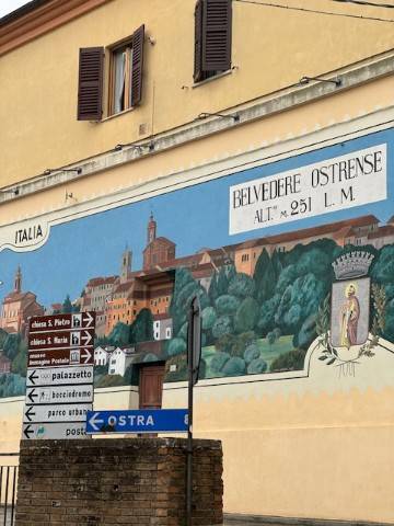 locale commerciale in affitto a Belvedere Ostrense