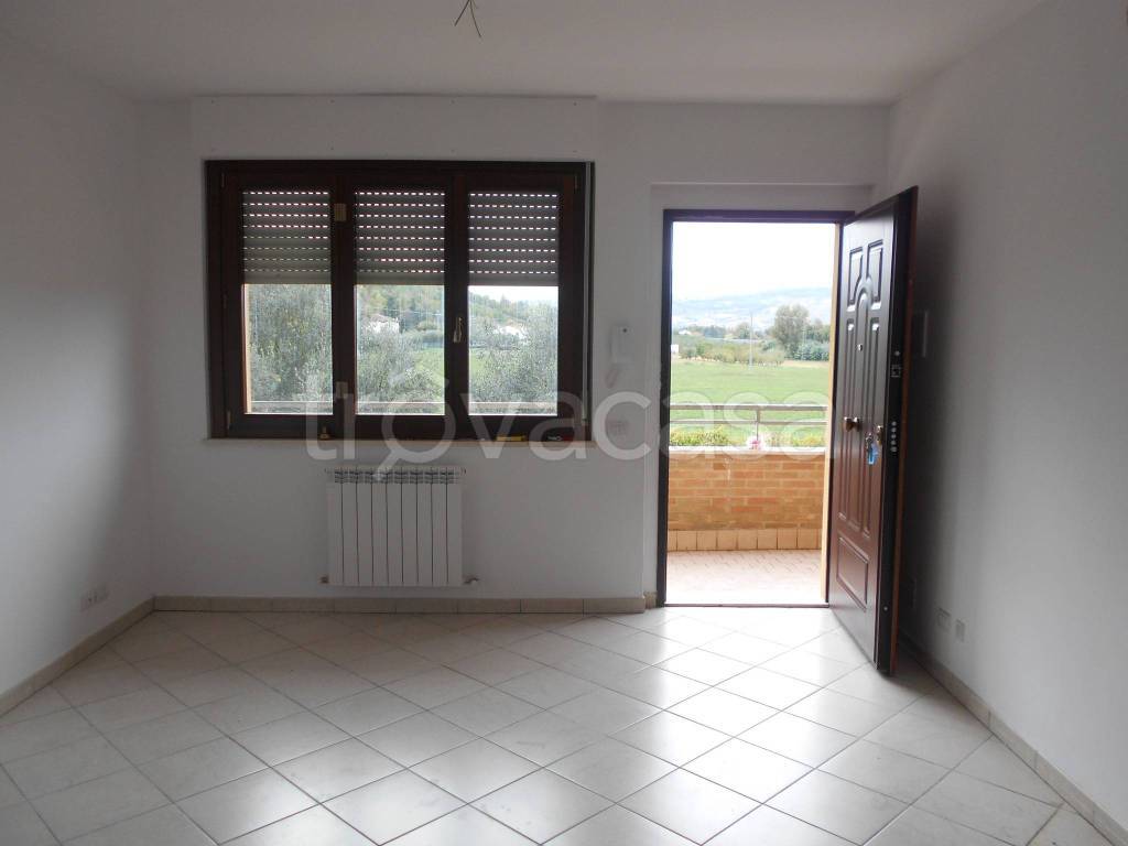 appartamento in affitto a Castelbellino