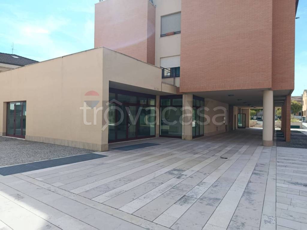 negozio in affitto a Castelbellino in zona Stazione