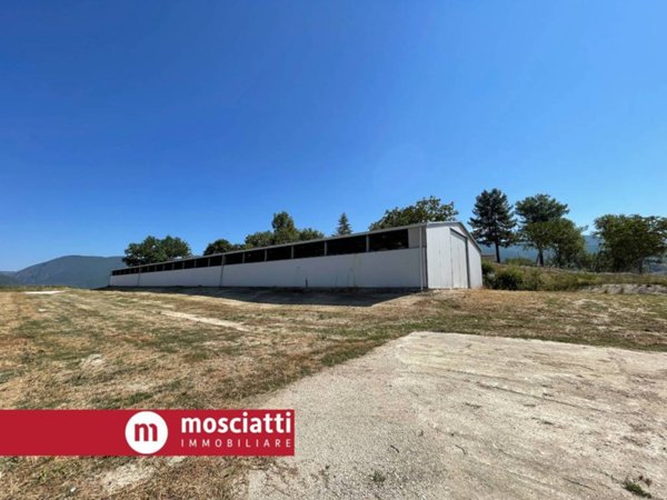 locale commerciale in affitto a Cerreto d'Esi