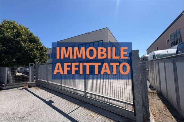 locale commerciale in affitto a Falconara Marittima