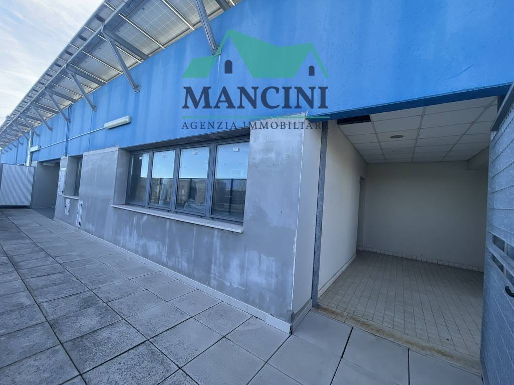 negozio in affitto a Jesi