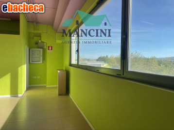 locale commerciale in affitto a Jesi