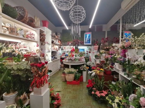 monolocale in affitto a Jesi