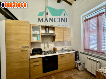 appartamento in affitto a Jesi