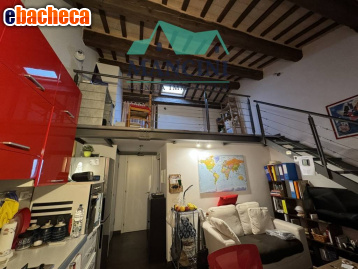 appartamento in affitto a Jesi