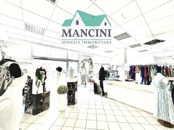 trivano in affitto a Jesi