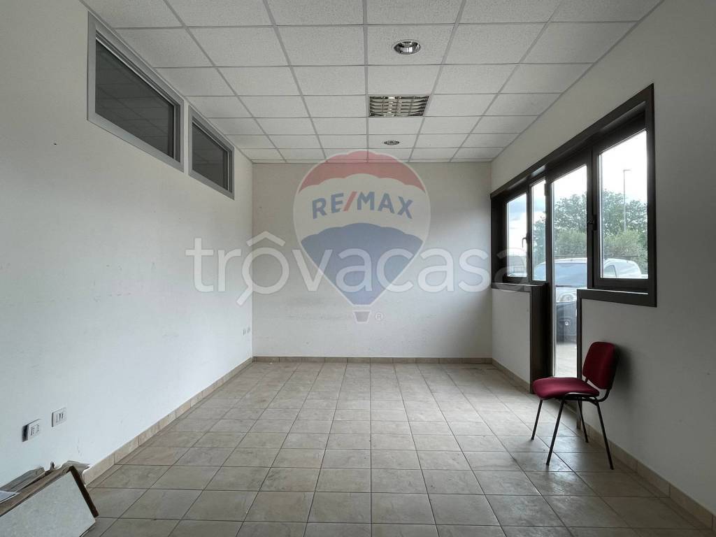 quadrivano in affitto a Jesi