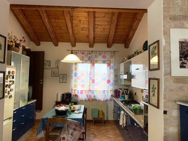 appartamento in affitto a Jesi