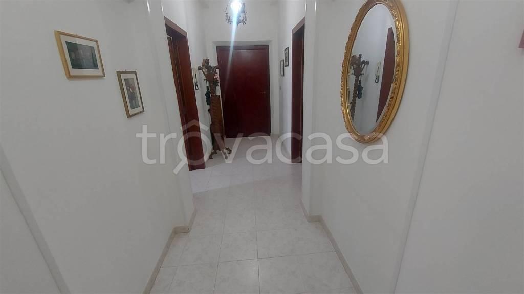 appartamento in affitto a Jesi