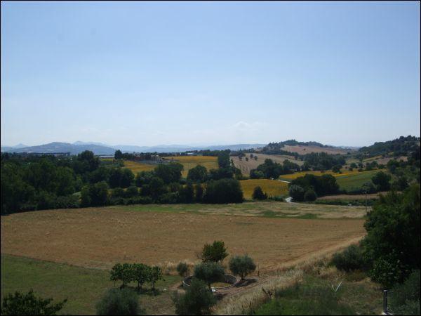 appartamento in affitto a Jesi