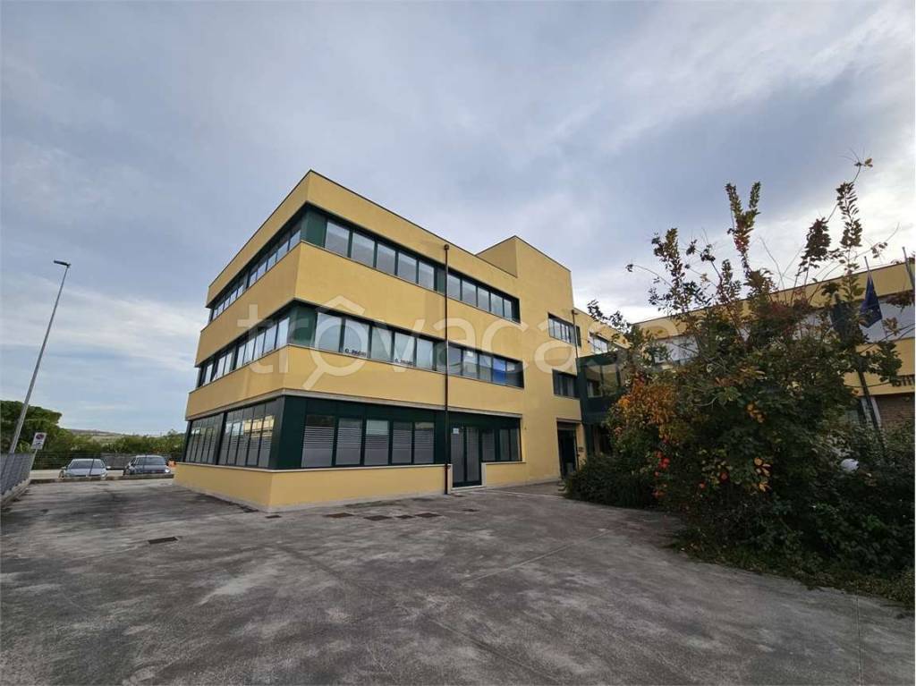 appartamento in affitto a Jesi