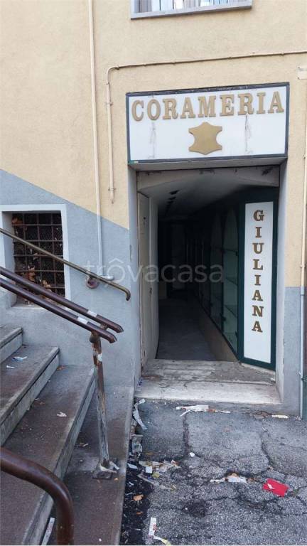 appartamento in affitto a Jesi
