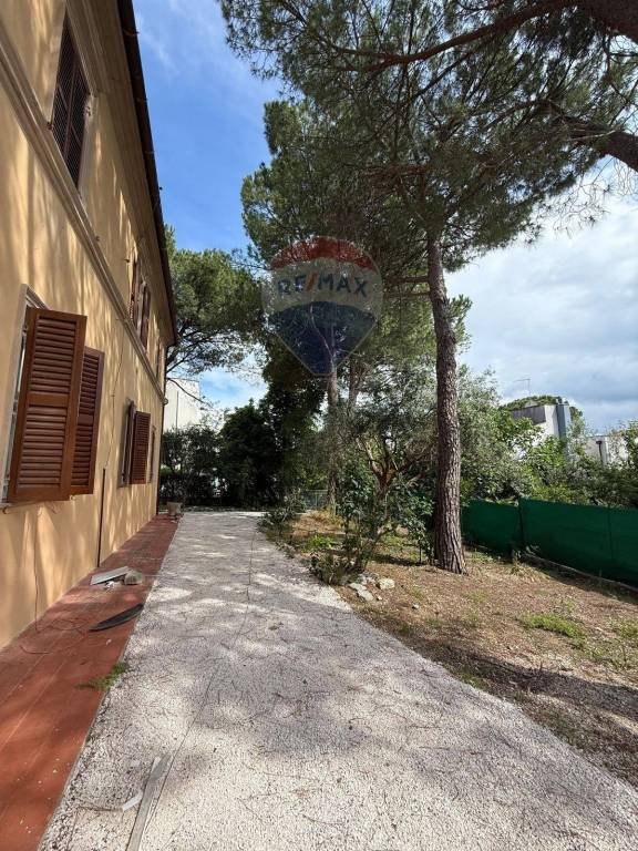appartamento in affitto a Jesi
