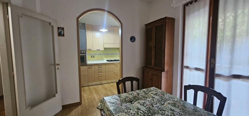 appartamento in affitto a Jesi