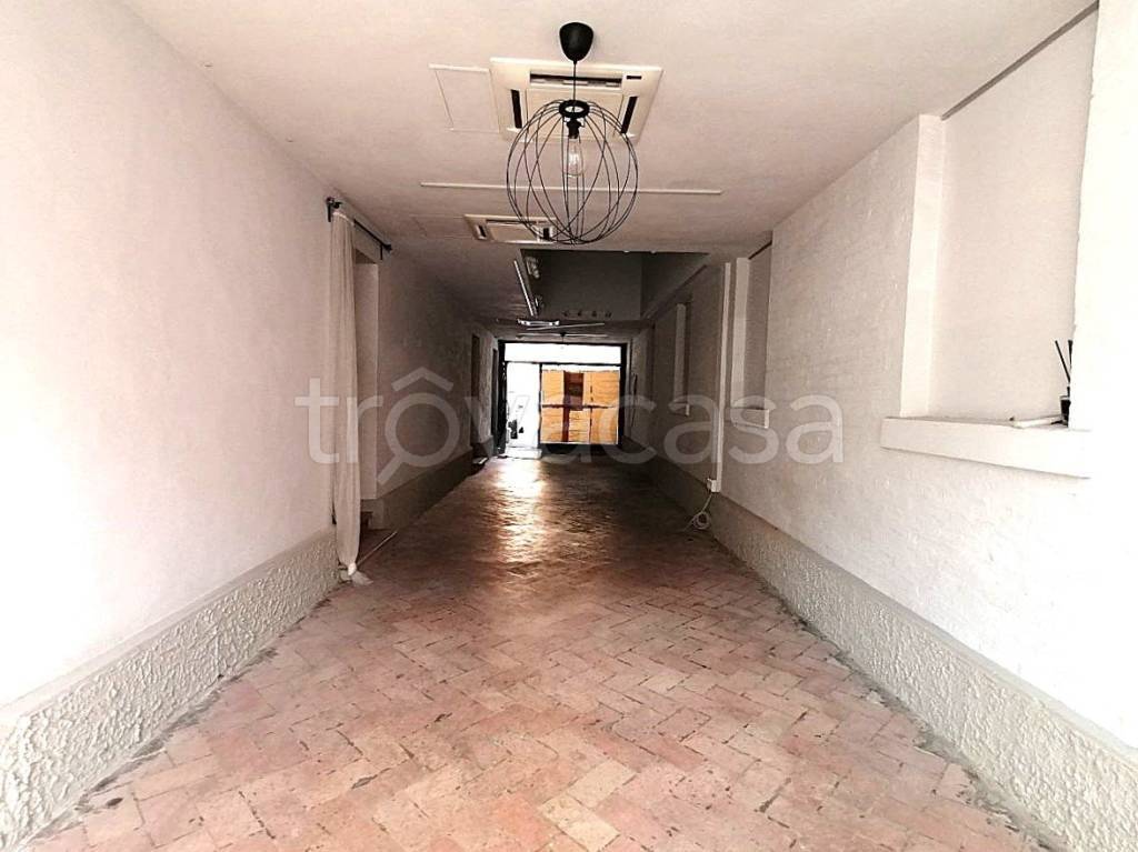 quadrivano in affitto a Jesi