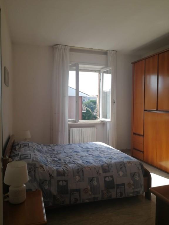 appartamento in affitto a Jesi