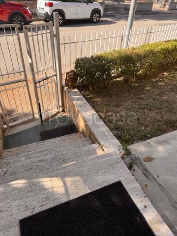 appartamento in affitto a Jesi