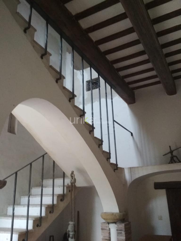 appartamento in affitto a Jesi