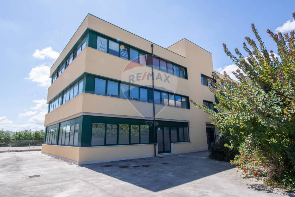 ufficio in affitto a Jesi