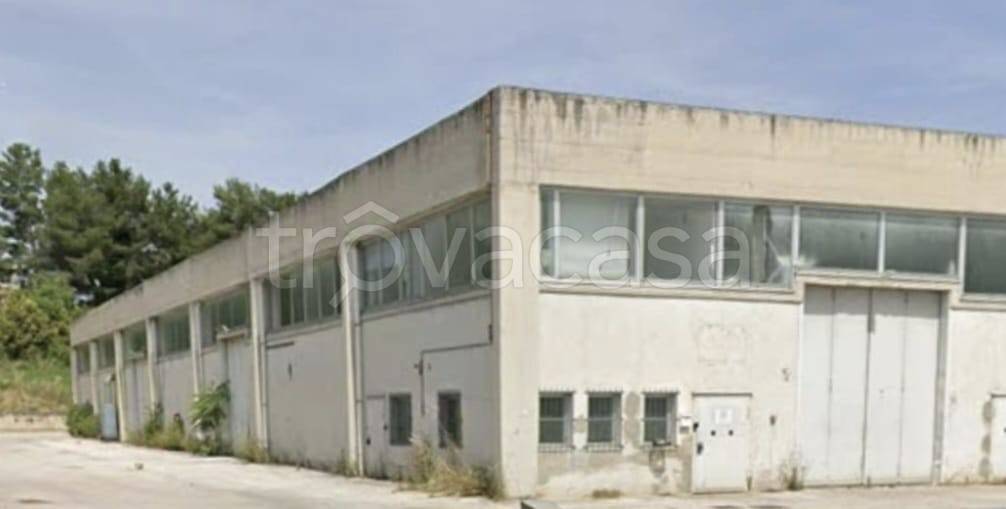locale commerciale in affitto a Jesi