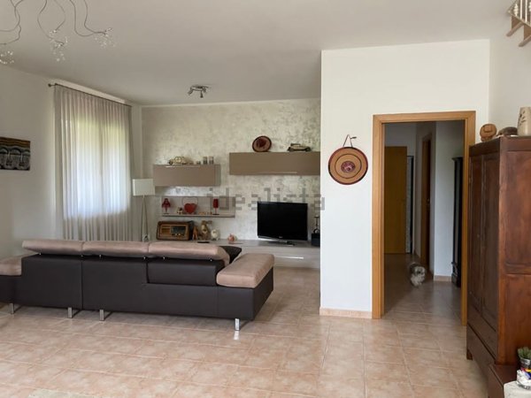 appartamento in affitto a Jesi