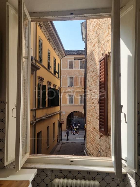 appartamento in affitto a Jesi