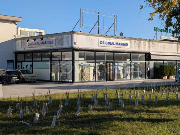 negozio in affitto a Jesi