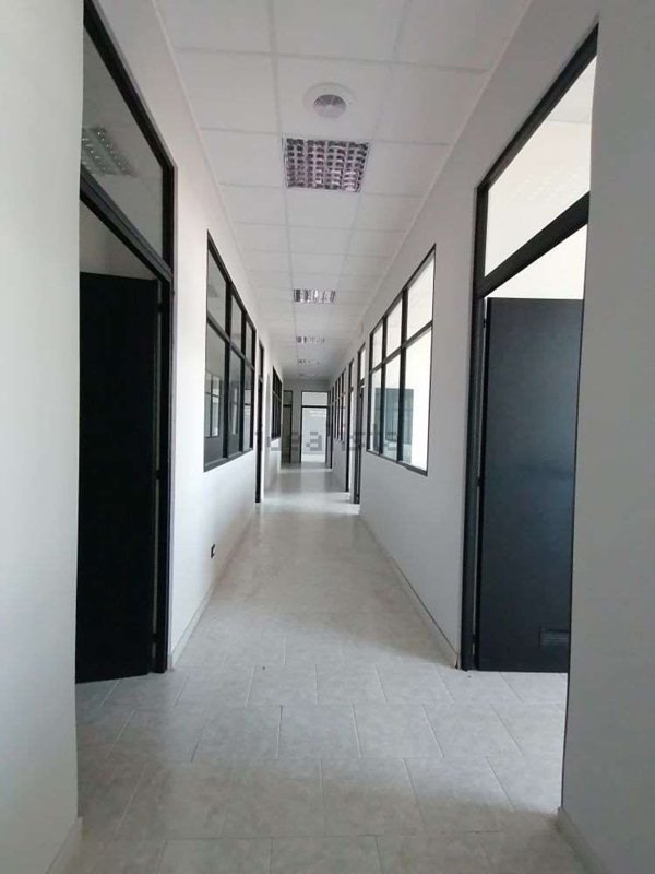 ufficio in affitto a Jesi