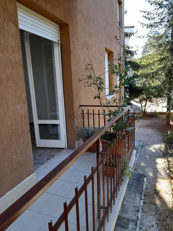 appartamento in affitto a Jesi