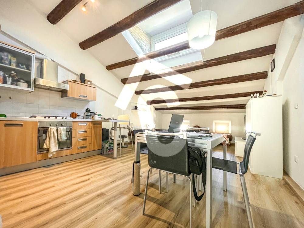 appartamento in affitto a Jesi