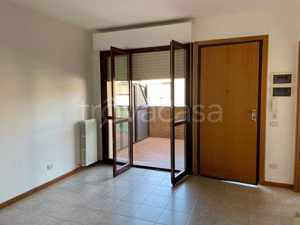 appartamento in affitto a Jesi