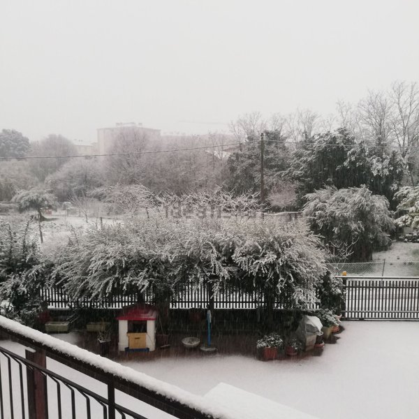 appartamento in affitto a Jesi