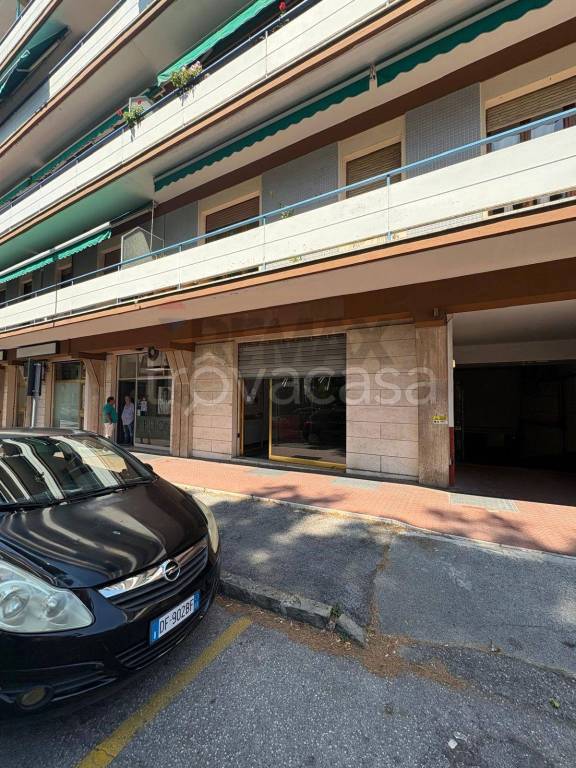 negozio in affitto a Jesi