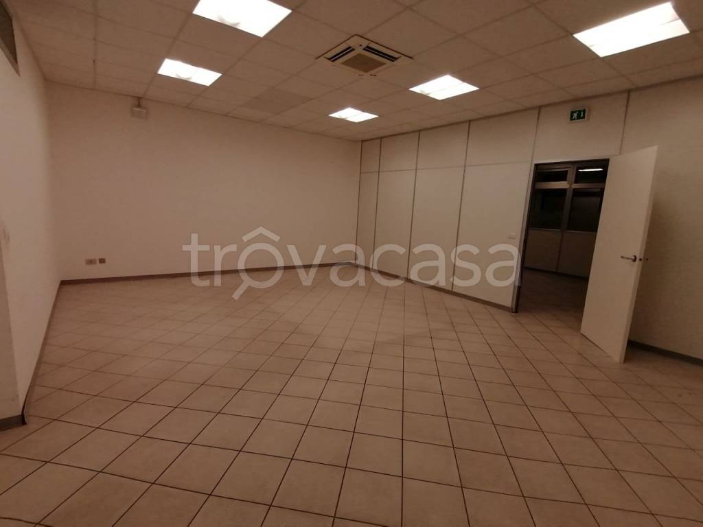 trivano in affitto a Jesi