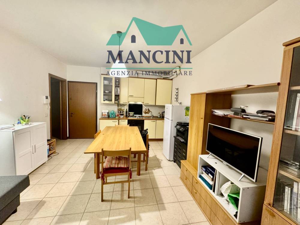 appartamento in affitto a Jesi