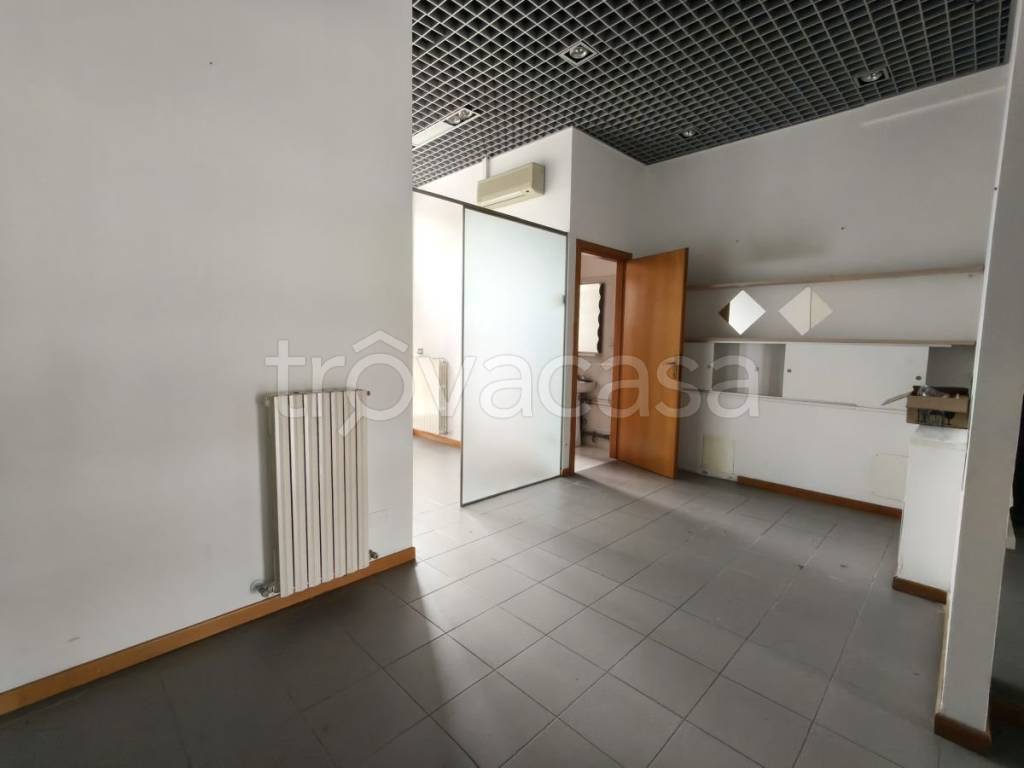 negozio in affitto a Jesi